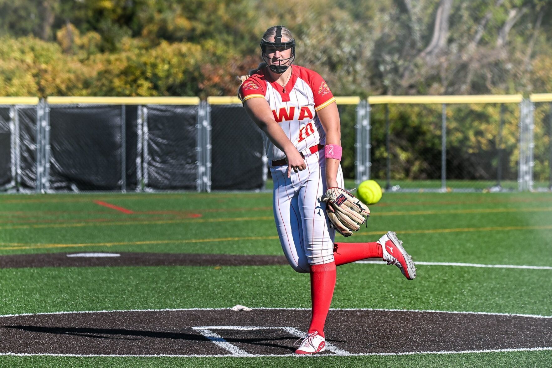 Meet the 2024 All-Metro fall softball team
